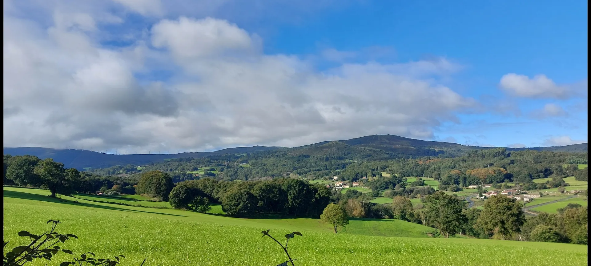 Política de Cookies